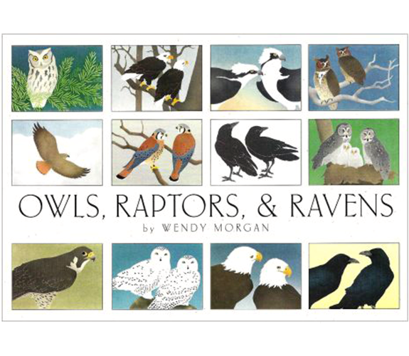 "Owls, Raptors, and Ravens" Card Set - Crane Creek